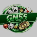 gn55 game log image