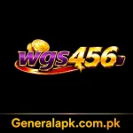wgs456 game logo image